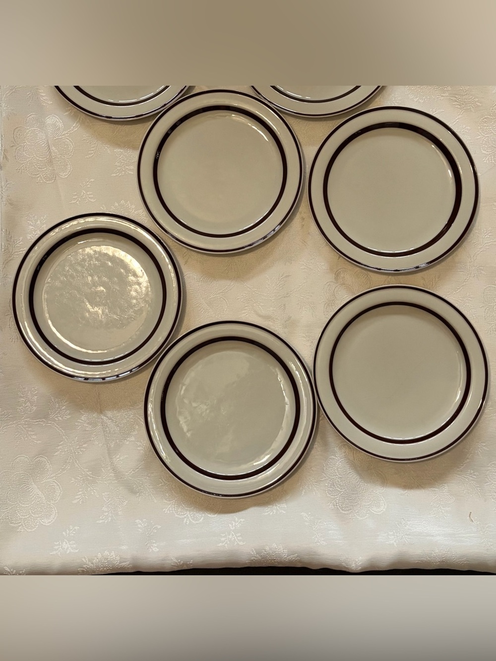 Orbit Stoneware Cream Dinner Plates Brown 221 with Double Rim